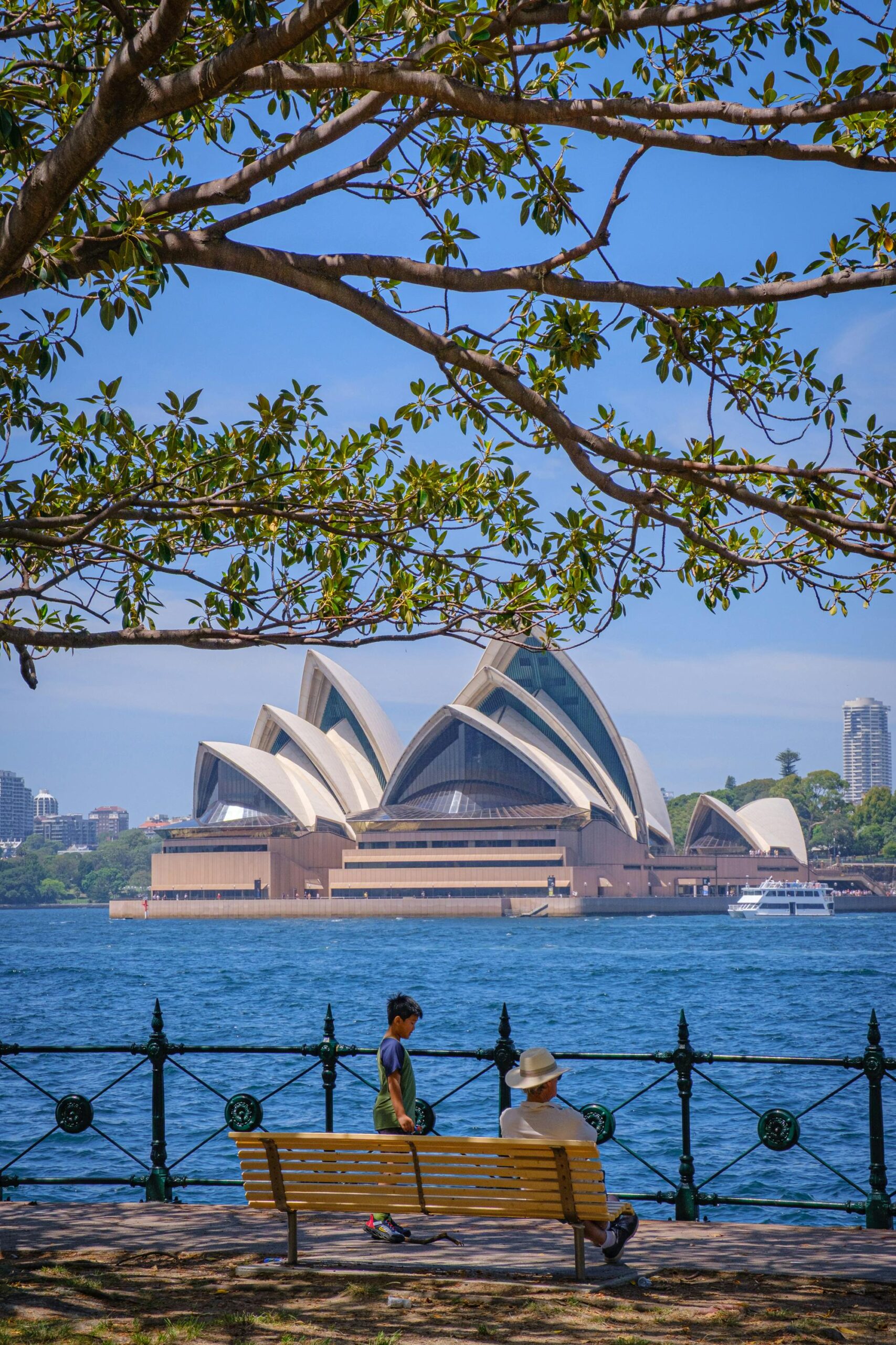 Scenic view of Sydney Opera House framed by tree branches, visible from a park bench.